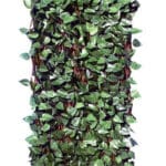 Grasher πυκνή φυλλωσιά πέργκολα 1x2m πράσινο σκούρο 103024